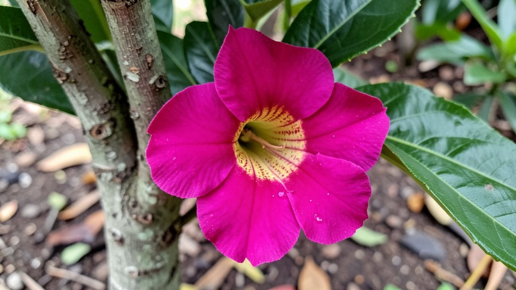 Worm Bush Plant: Year-Round Pruning Secrets for Bushier Growth